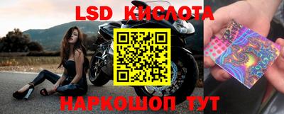 ПСИЛОЦИБИНОВЫЕ ГРИБЫ Малоярославец