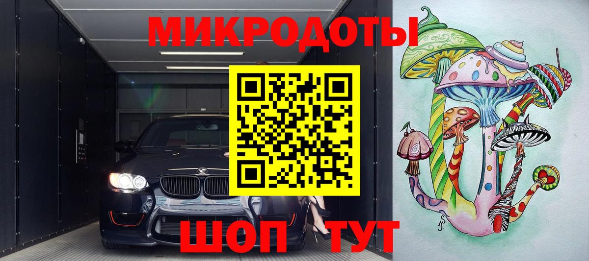 Псилоцибиновые грибы Psilocybe Черногорск