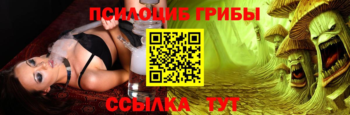 Псилоцибиновые грибы Psilocybe  Вход с VPN  Черногорск 