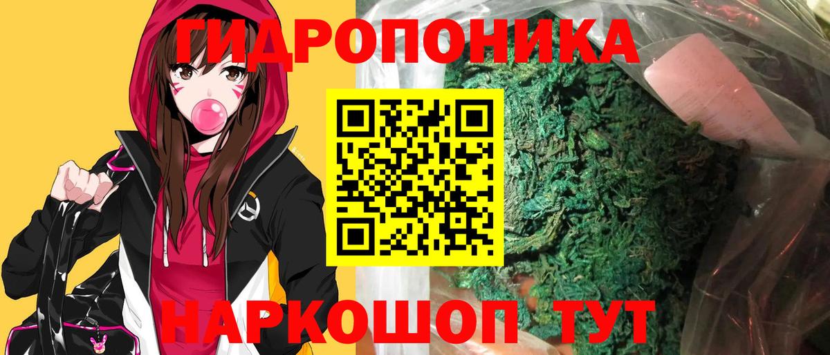 Шишки марихуана планчик  Бошки Шишки LSD WEED  Черногорск  Каннабис индика  Вход с VPN 